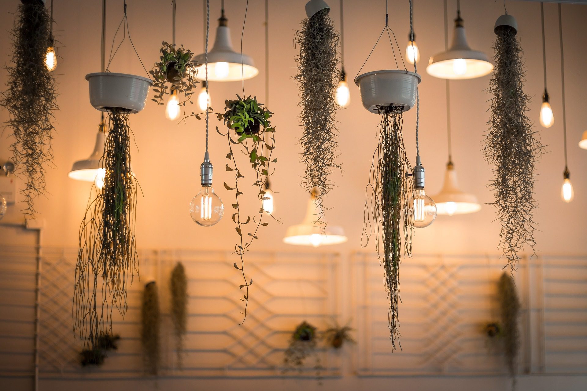 GoBeyond Lighting Design and Installation