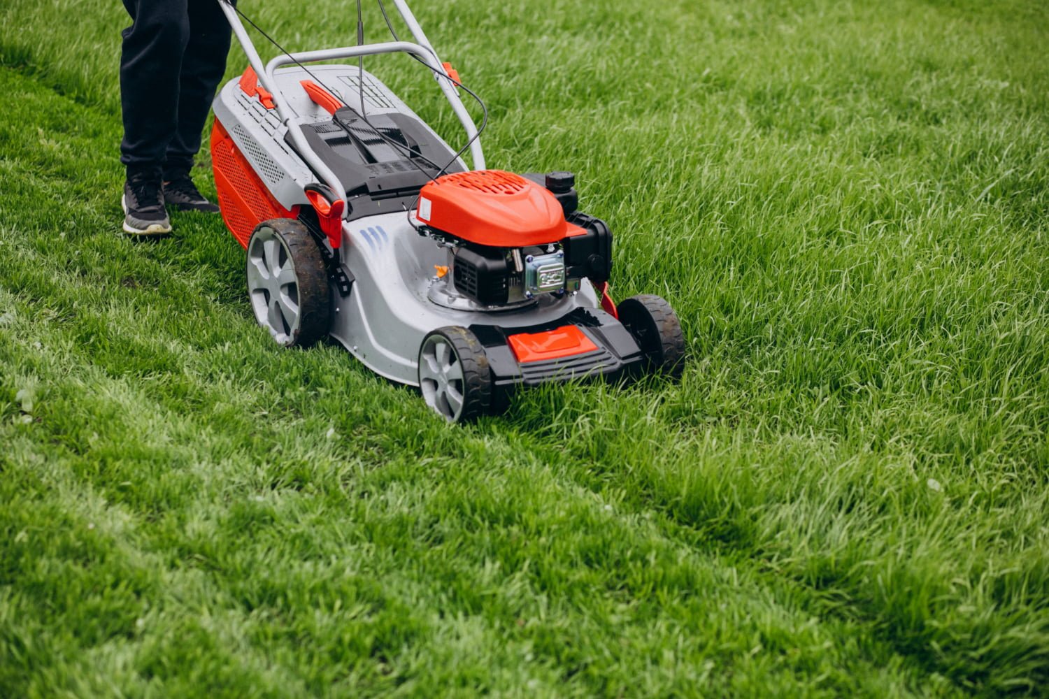 GoBeyond Lawn Care and Maintenance